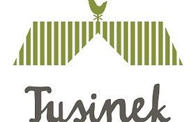 Zajazd Tusinek Grzegorz Winiarek